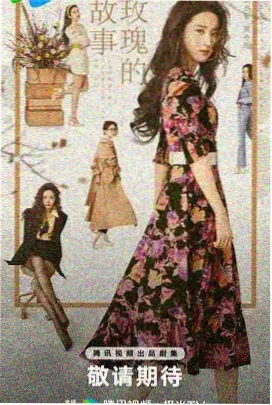 总裁的子子前妻